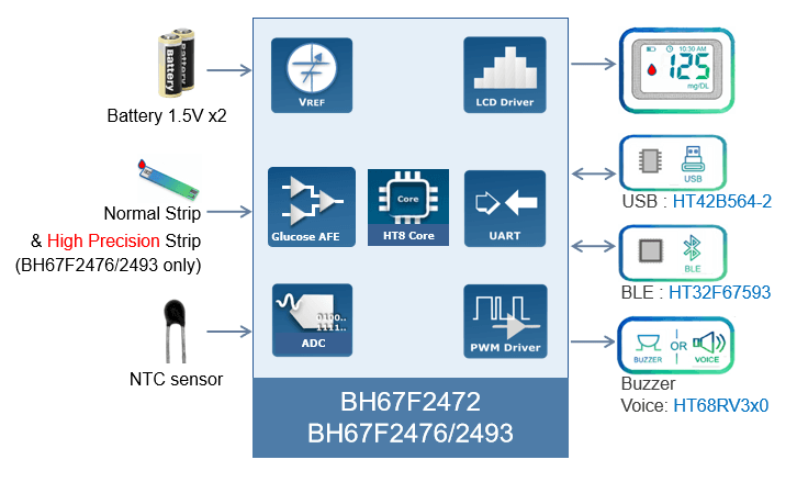 Blood Glucose Meter System Architecture