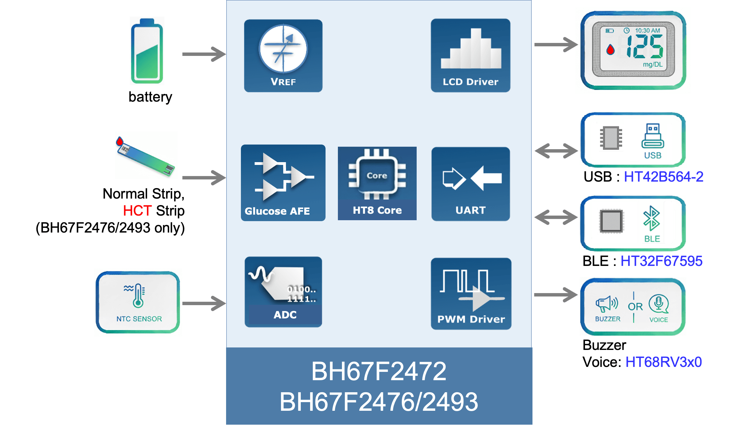 Blood Glucose Meter System Architecture